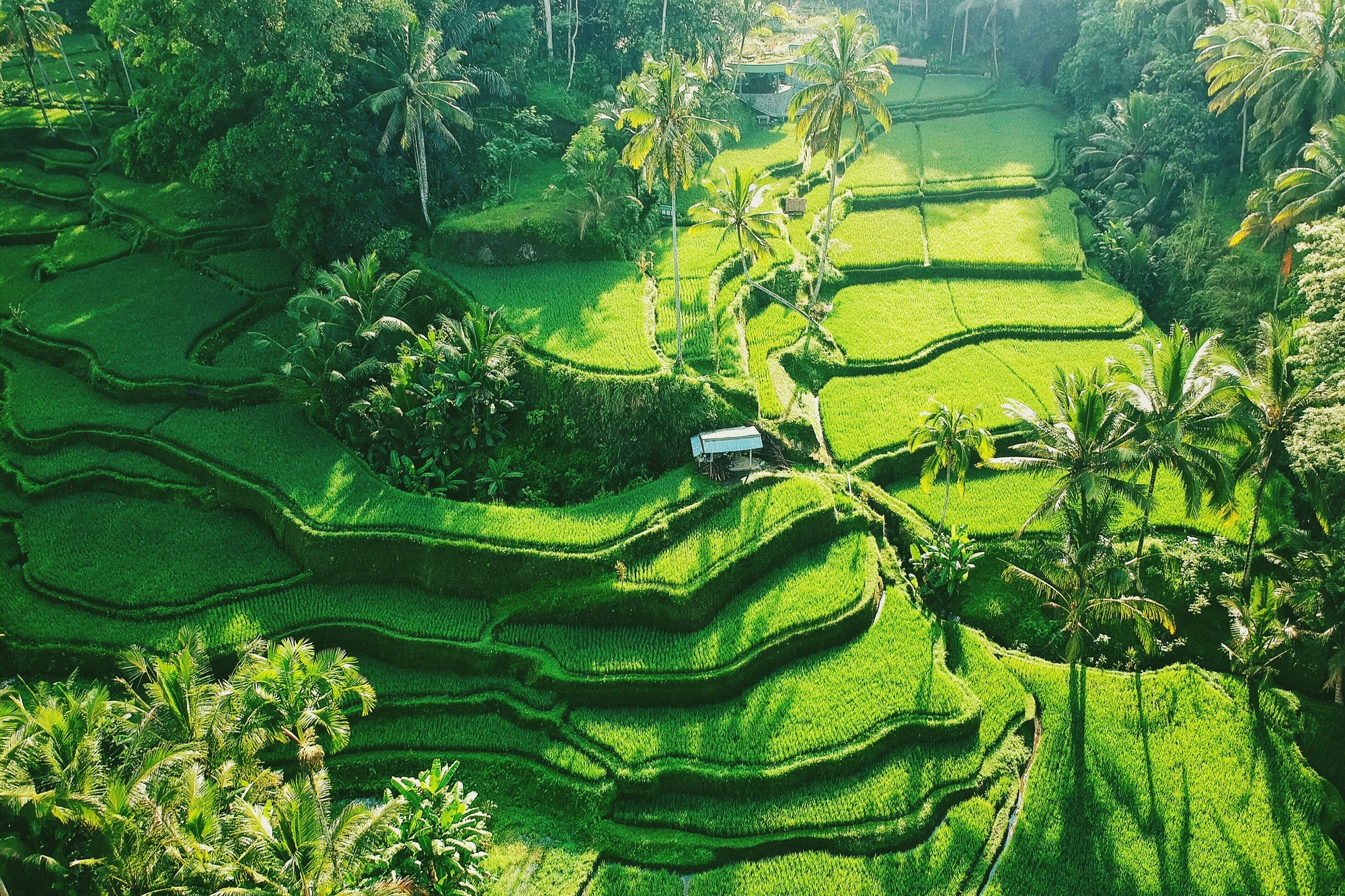 Backwater Retreats